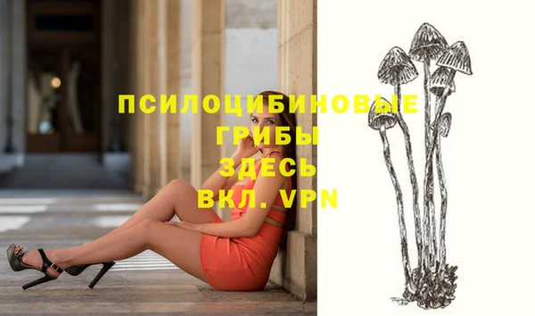 Альфа ПВП Алексин