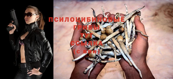 стаф Армянск
