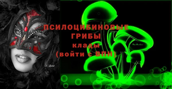 гашик Аркадак