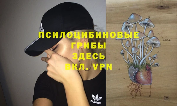 MESCALINE Алзамай