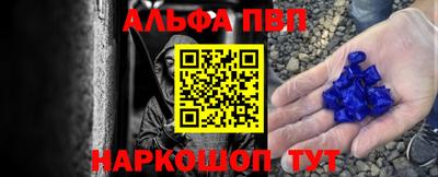 амф Кингисепп