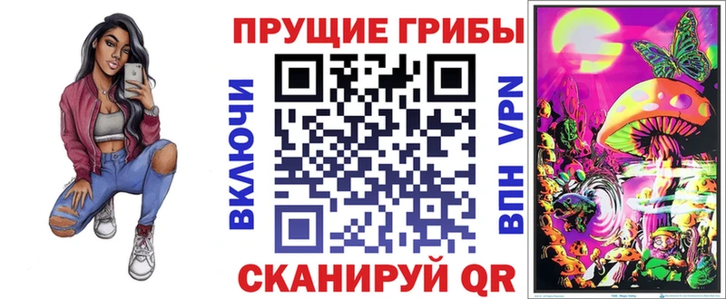 Галлюциногенные грибы Psilocybine cubensis  Глазов 